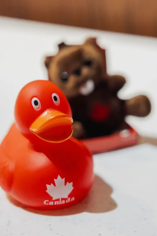 Vancouver AI Meetup - June 2025 — photo by Michelle Diamond
