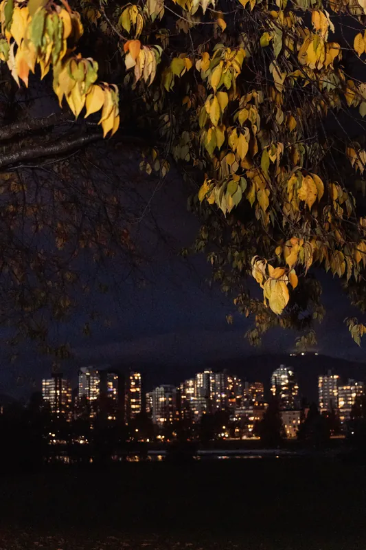 Vancouver AI Meetup - October 2025 — photo by Michelle Diamond